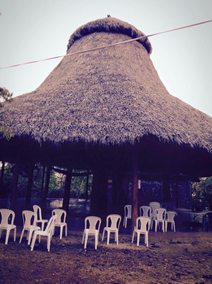 The palapa